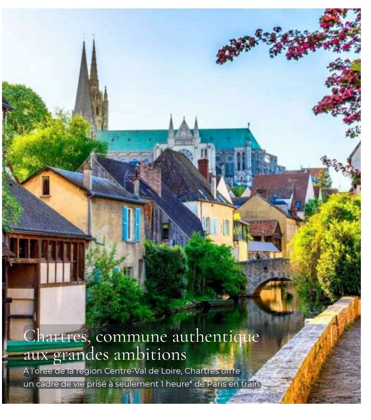 Maisons anciennes au bord de l'Eure et cathédrale de Chartres